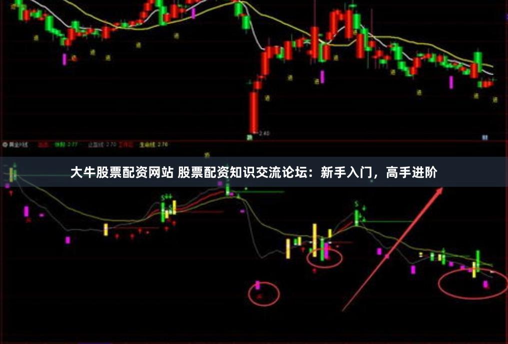 大牛股票配资网站 股票配资知识交流论坛：新手入门，高手进阶