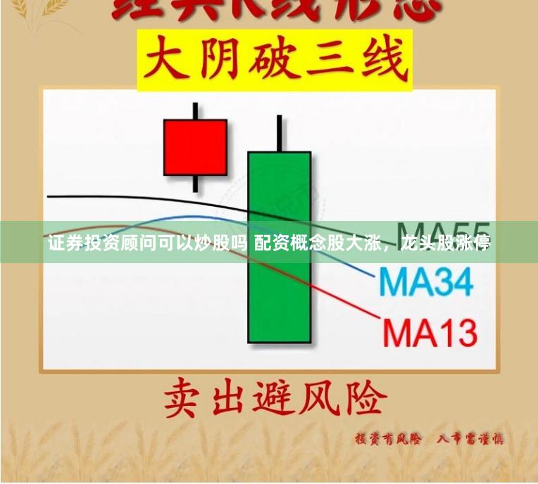 证券投资顾问可以炒股吗 配资概念股大涨，龙头股涨停