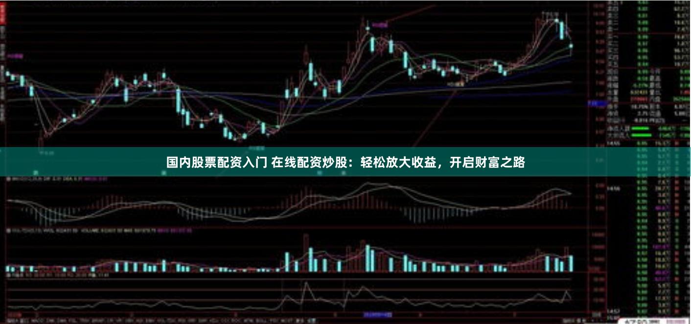 国内股票配资入门 在线配资炒股：轻松放大收益，开启财富之路