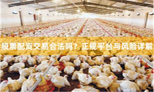 股票配资交易合法吗？正规平台与风险详解