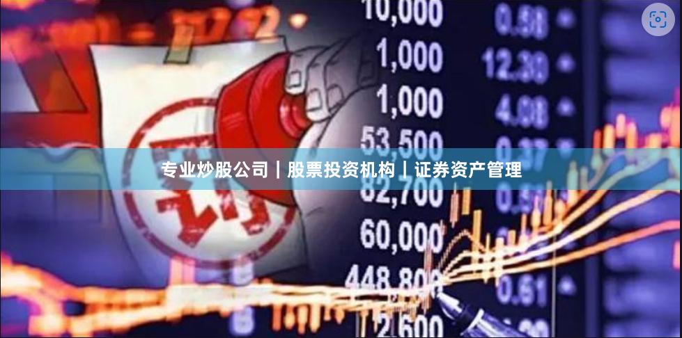 专业炒股公司｜股票投资机构｜证券资产管理